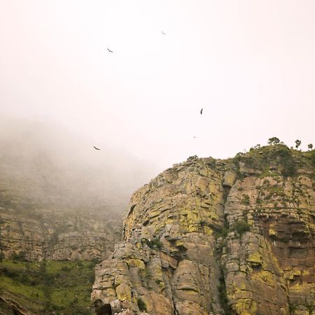 Cape Vulture Conservancy Hoedspruit Buitenkant foto